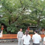 樹木医とは?高校生から取材を受けました|京都の樹木医が語る仕事と魅力