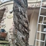 なぜ旋回木理になるのか？