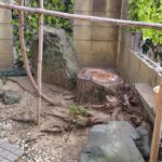 桜の根が壁を壊す場合の対策｜伐採せずに守る方法も解説