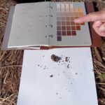 土色調査とは?標準土色帖で分かる土壌の状態と植栽基盤の評価方法