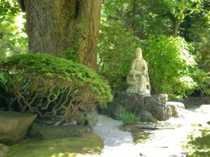 鎌倉・報国寺(竹寺)の竹の庭と枯山水を歩く|樹木医が見た魅力