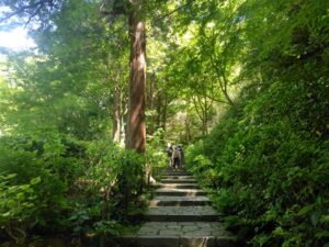 鎌倉・瑞泉寺庭園|夢窓疎石が造った岩盤庭園の魅力